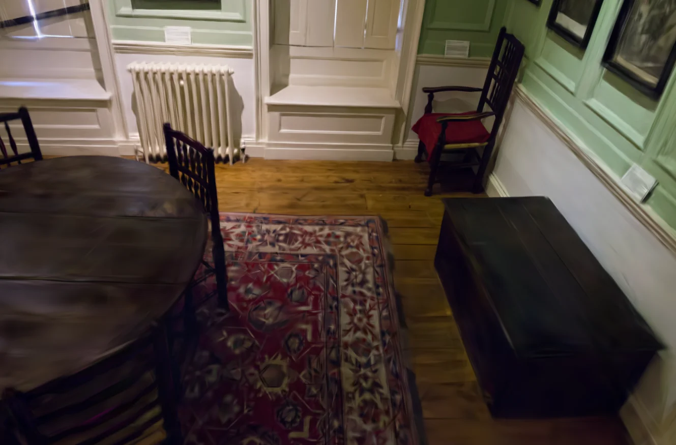 LightGaussian result on Dr. Johnson scene